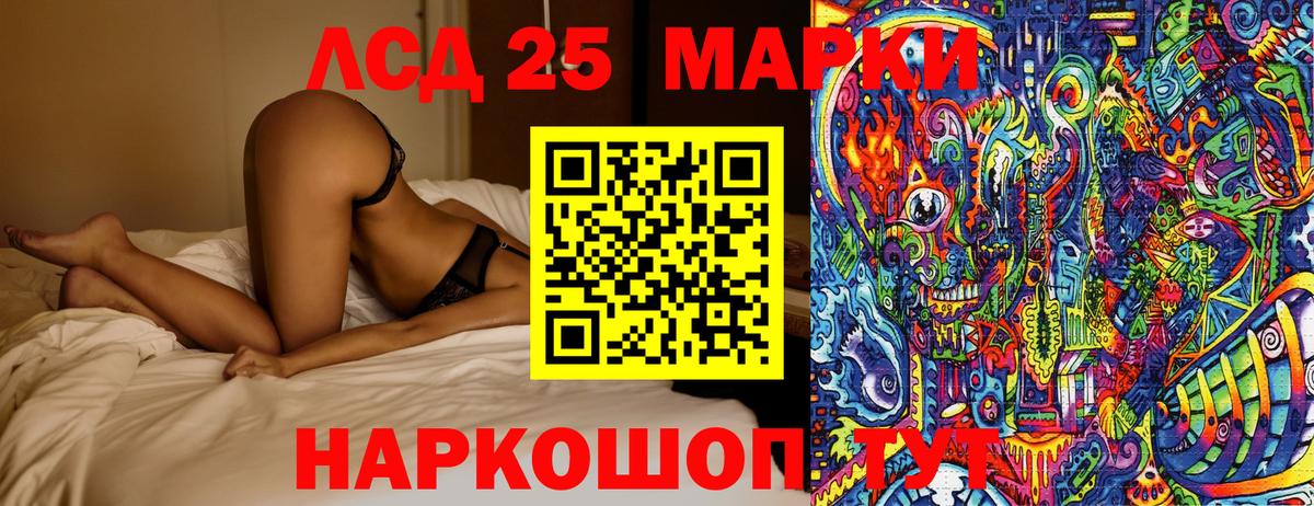 Галлюциногенные грибы Богданович