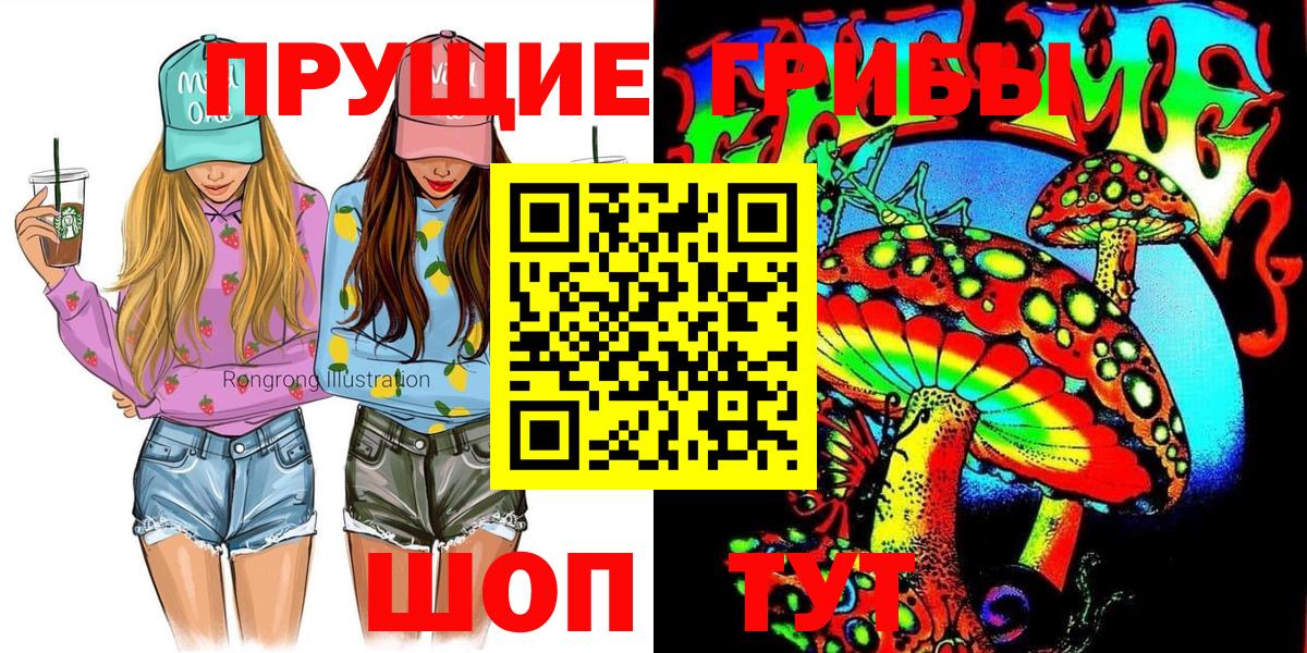 Богданович  Псилоцибиновые грибы GOLDEN TEACHER  Вход с VPN 
